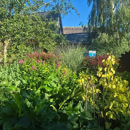 Bed & Breakfast La Granch' - *